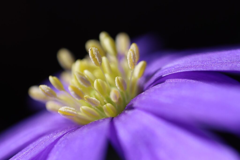 花粉でこすることで目元シワを防止するための効果的な対策は？