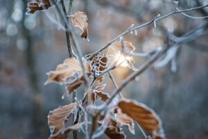 シワが気になる冬の乾燥肌荒れ対策は？