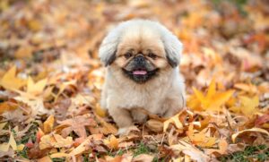 シワが秋に深刻化する乾燥の原因とは？