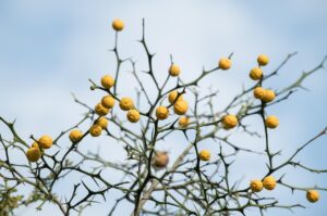 シワの原因は乾燥によってどこまで影響するのか？