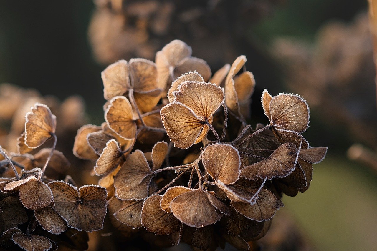 レチノールを冬に使う際の乾燥との併用方法は？