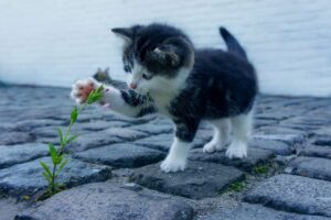 乾燥小じわが季節悪化する理由とその対策は？