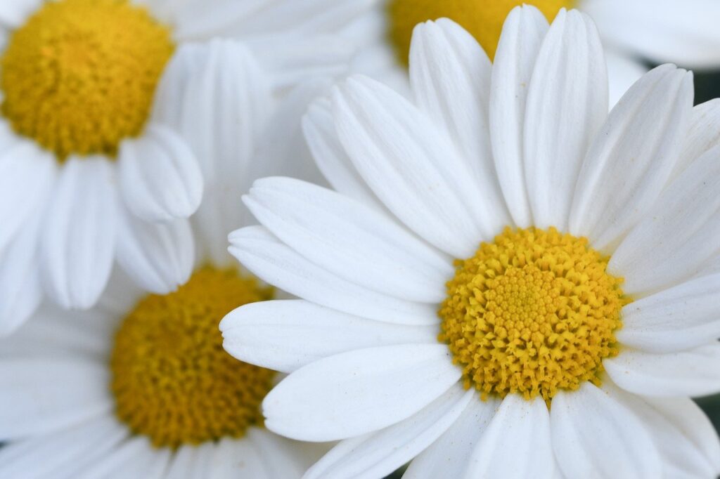 夏のインナードライの原因とは何か？